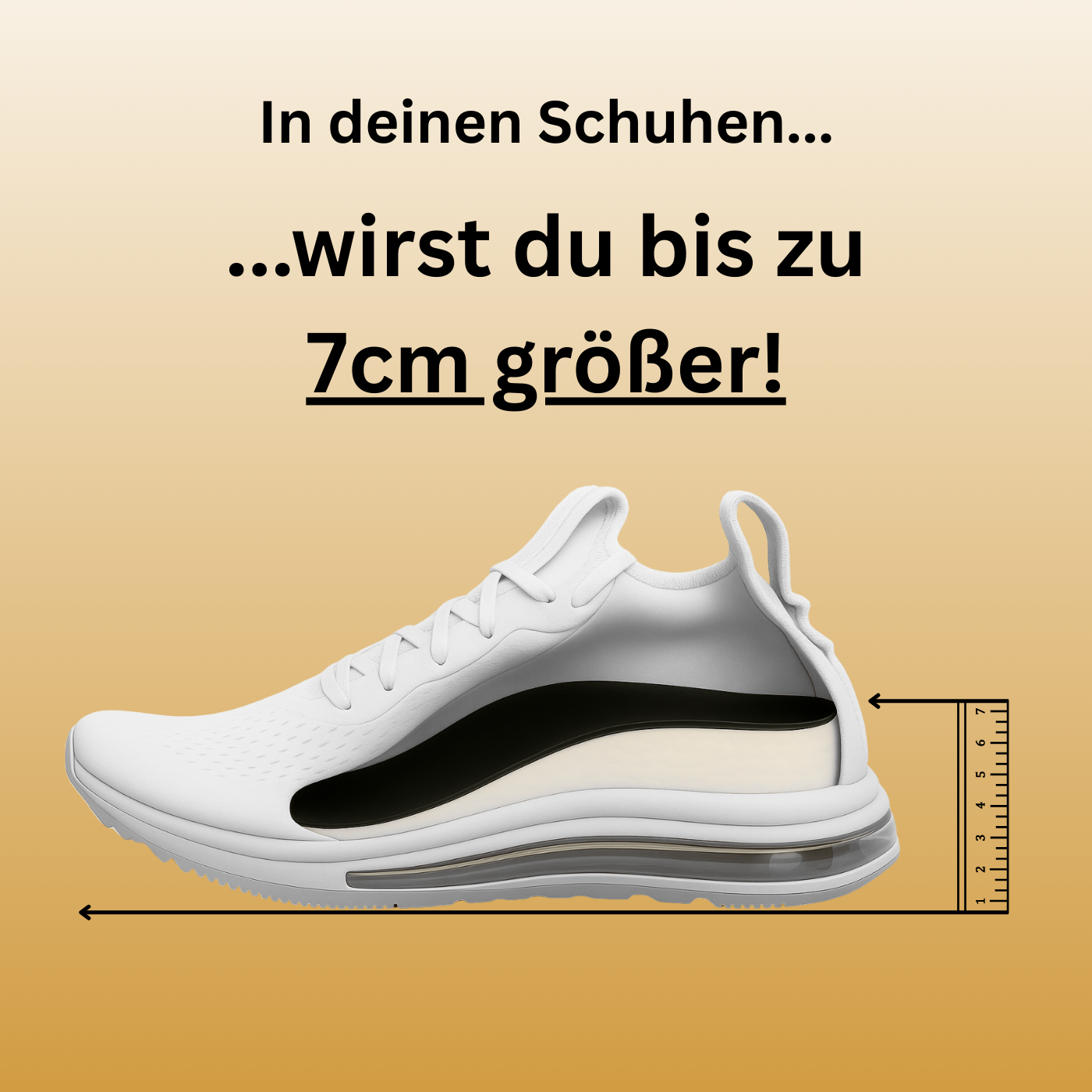 Step-Ups - DAS ORIGINAL